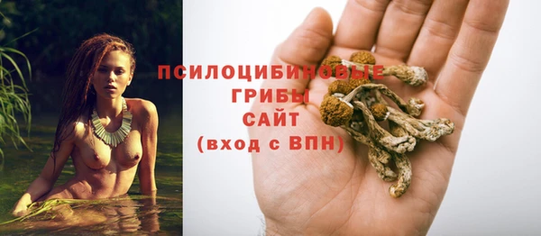 не бодяженный Арсеньев